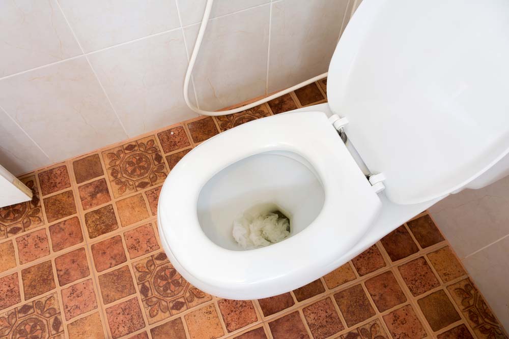 toilet with tissue getting flushed